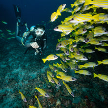 Cargar imagen en el visor de la galería, Expedición Maldivas