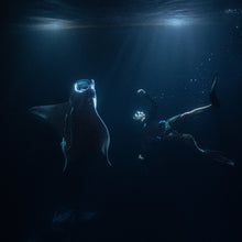 Cargar imagen en el visor de la galería, Expedición Maldivas