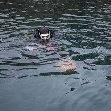 Cargar imagen en el visor de la galería, Buzos Certificados