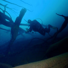 Cargar imagen en el visor de la galería, Buzos certificados.