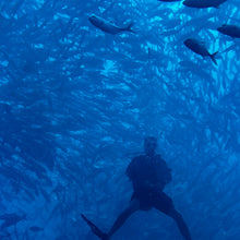 Cargar imagen en el visor de la galería, Expedición certificados