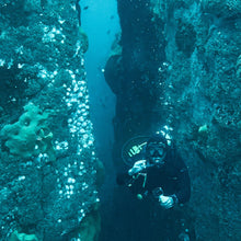 Cargar imagen en el visor de la galería, Buzos Certificados