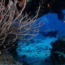 Cargar imagen en el visor de la galería, Expedición Egipto Ruta Sur