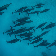 Cargar imagen en el visor de la galería, Expedición Egipto Ruta Sur