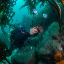 Cargar imagen en el visor de la galería, Buzos Certificados