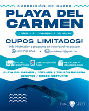 Load image into Gallery viewer, Playa del Carmen 2024
