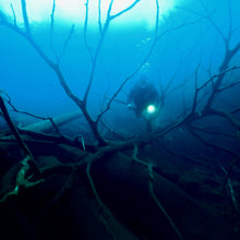 Cargar imagen en el visor de la galería, Buzos certificados.
