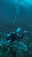 Load image into Gallery viewer, Open Water Diver Pichidangui
