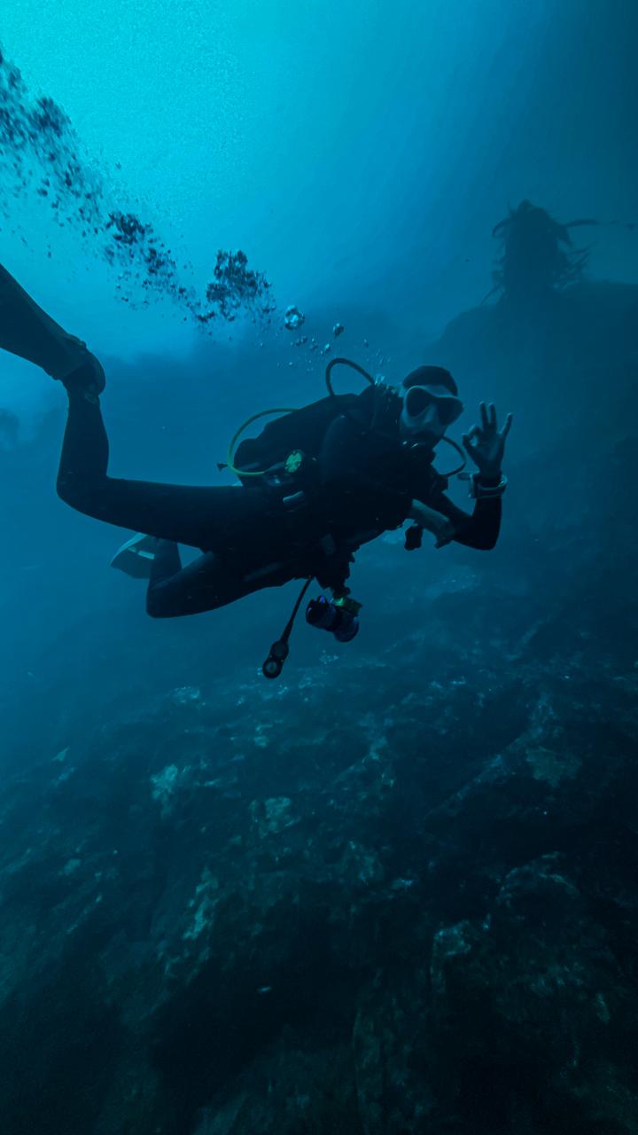 Open Water Diver Pichidangui