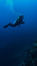 Load image into Gallery viewer, Open Water Diver Chañaral
