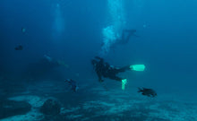 Load image into Gallery viewer, Open Water Diver Chañaral
